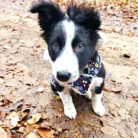 B&B La Grange Ancienne *