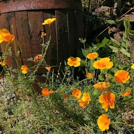 La Grange Ancienne B&B Montrollet