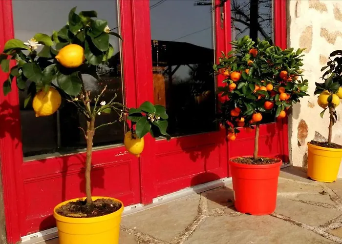 Bed & Breakfast La Grange Ancienne *