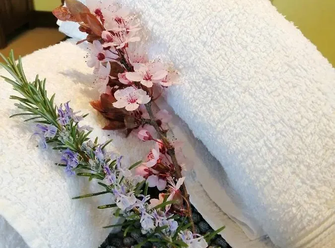 La Grange Ancienne * Montrollet