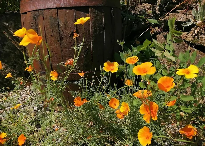 La Grange Ancienne Bed & Breakfast Montrollet