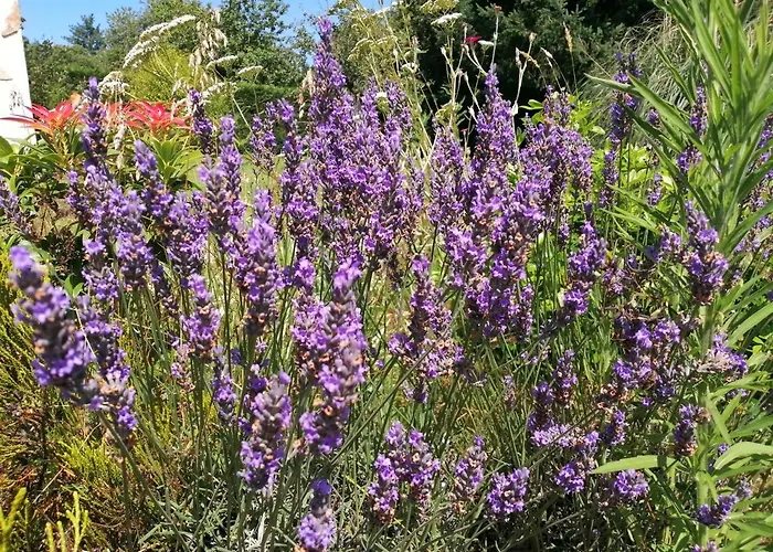 Bed & Breakfast La Grange Ancienne Montrollet